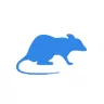 Уничтожение крыс в Электрогорске