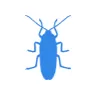 Уничтожение тараканов в Электрогорске